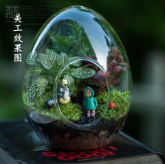 蛋形微景观生态瓶 透明玻璃花瓶城堡玻璃瓶diy多肉创意瓶苔藓瓶